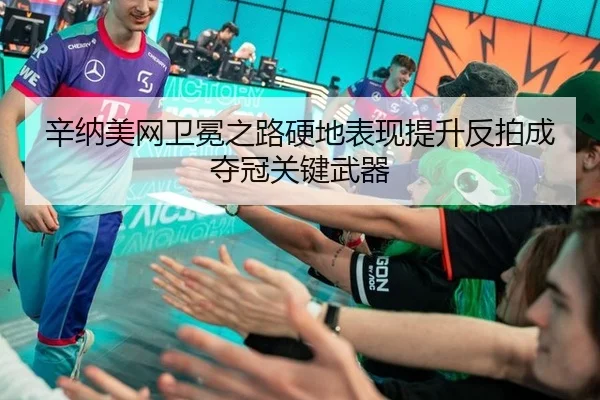 辛纳美网卫冕之路硬地表现提升反拍成夺冠关键武器