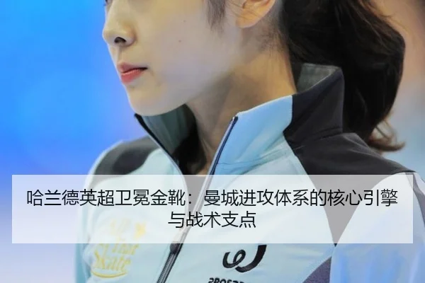 ha-lan-de-ying-chao-wei-mian-jin-xue-man-cheng-jin-gong-ti-xi-de-he-xin-yin-qing-yu-zhan-shu-zhi-dian-2-989.jpg