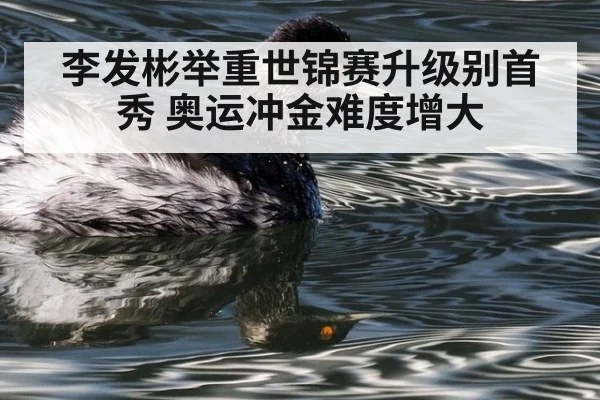 李发彬举重世锦赛升级别首秀 奥运冲金难度增大