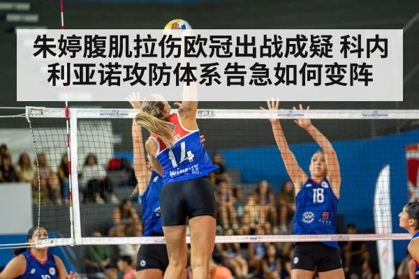 朱婷腹肌拉伤欧冠出战成疑 科内利亚诺攻防体系告急如何变阵